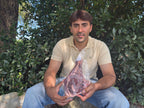 Chuletón de vacuno